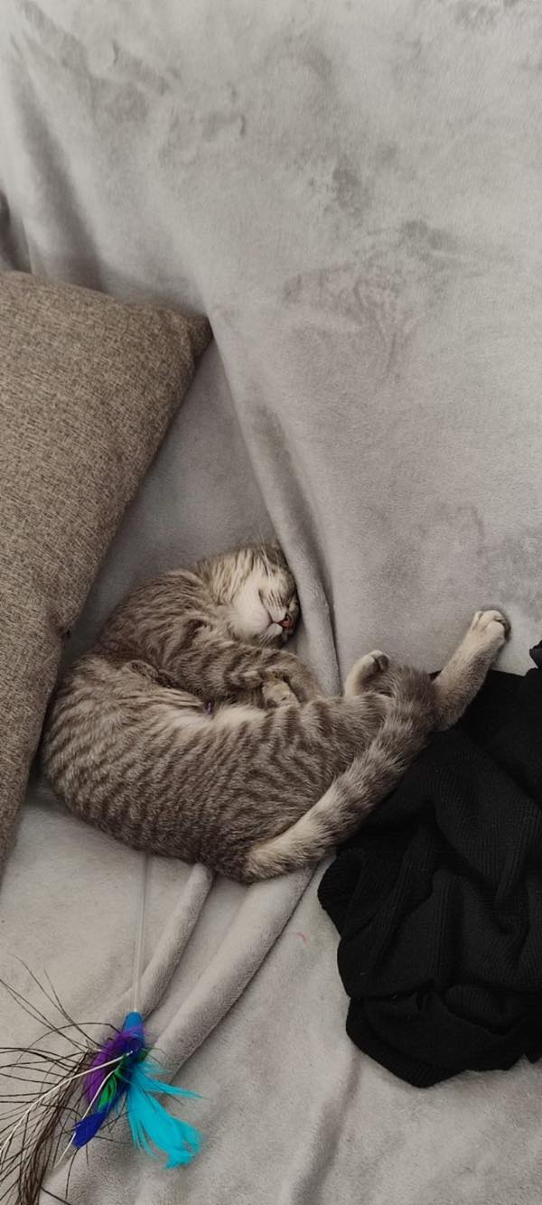 288203827_556266502715038_1944220075599104097_n