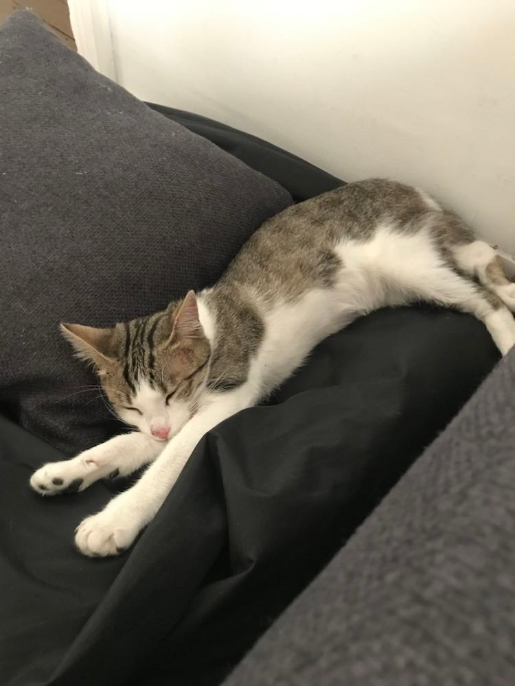 288287481_762239488246198_751303821655241914_n