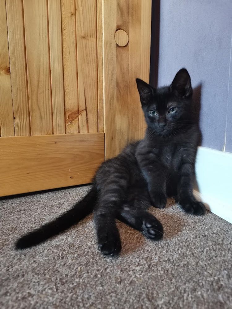 288308125_345087891037358_5689501531168355299_n