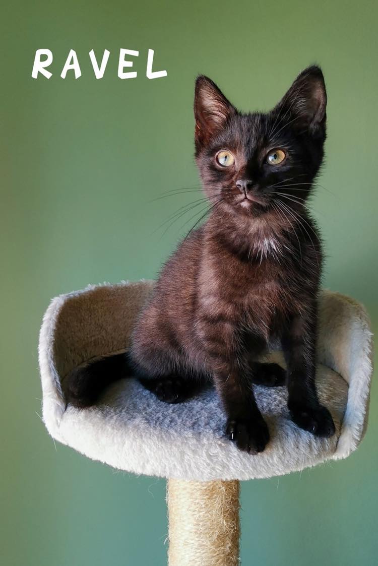 288333478_5323180637761497_244521658303524423_n