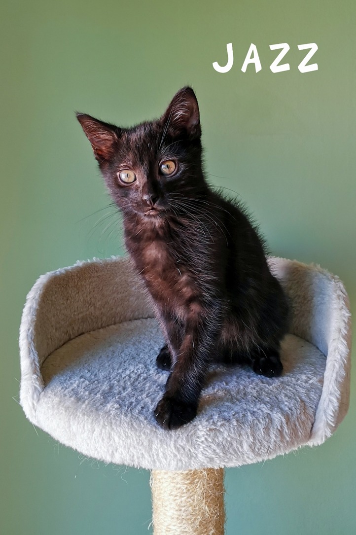 288346432_692302145198187_8509193297698130609_n