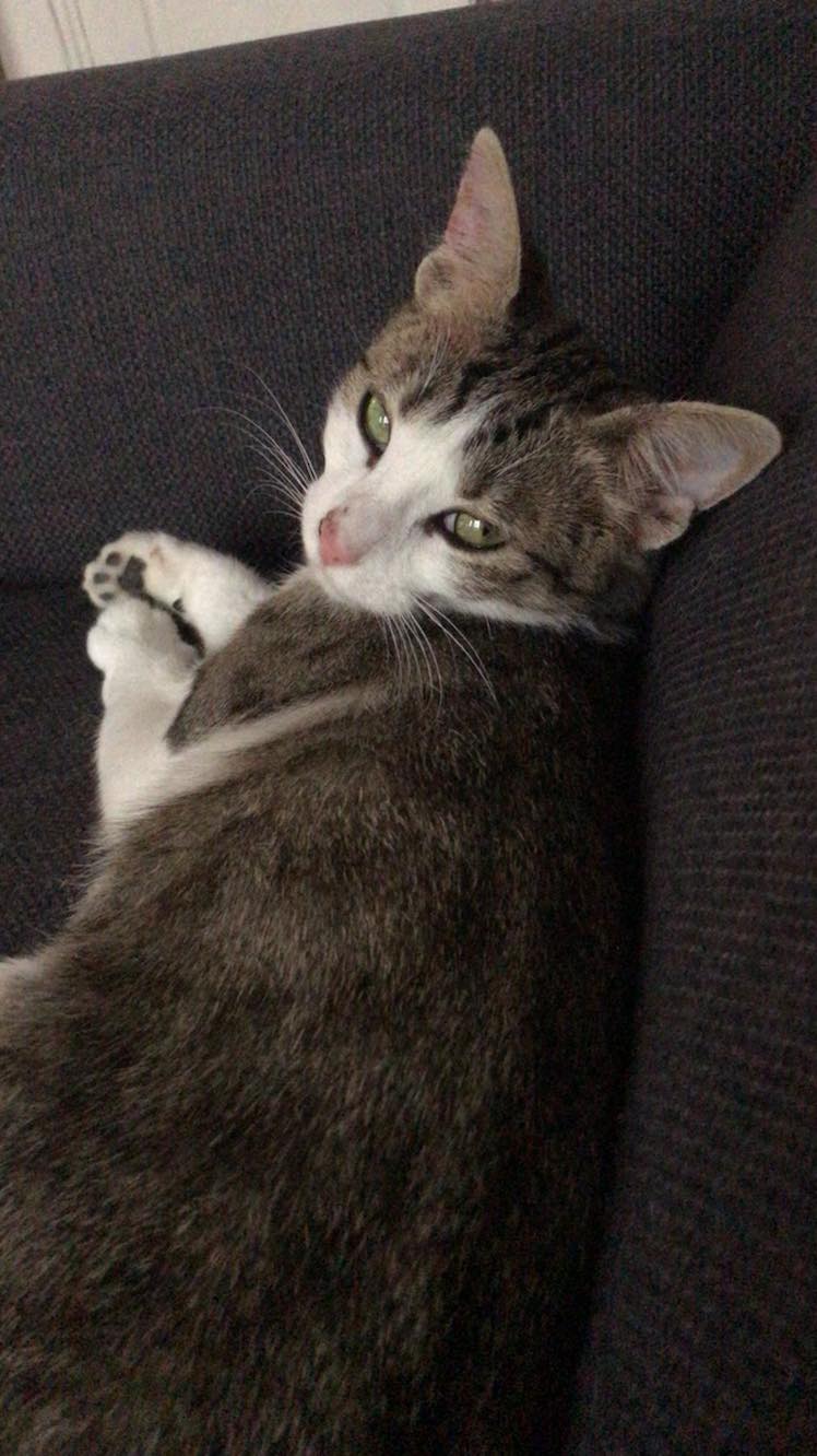 288368714_1086681388914609_2943328755438541659_n