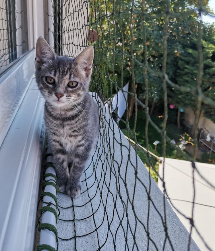 288419042_2363429730631122_5010674851191198822_n-1