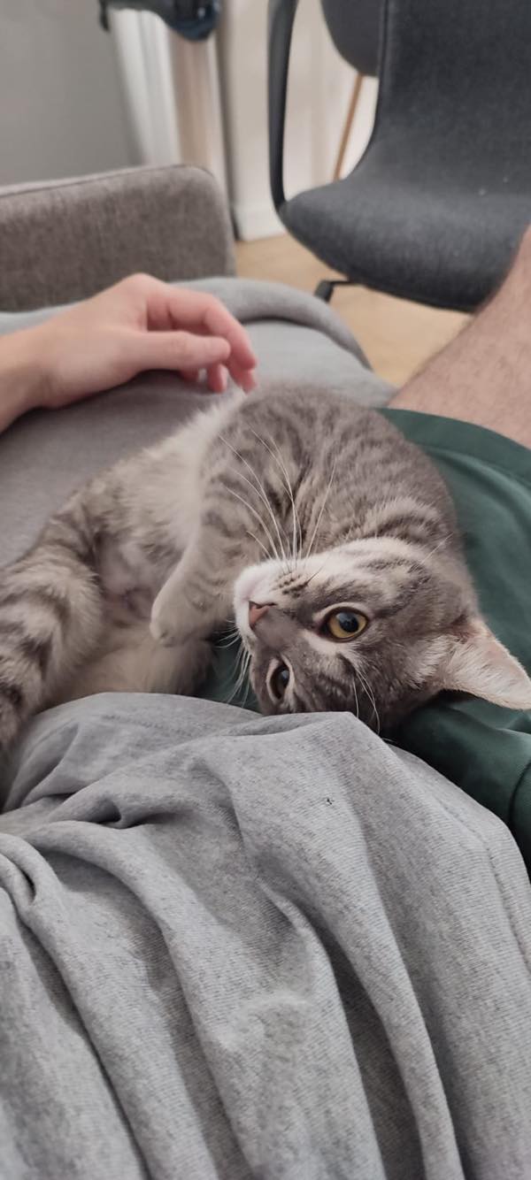 288470772_1683332822020200_6833968483826960265_n