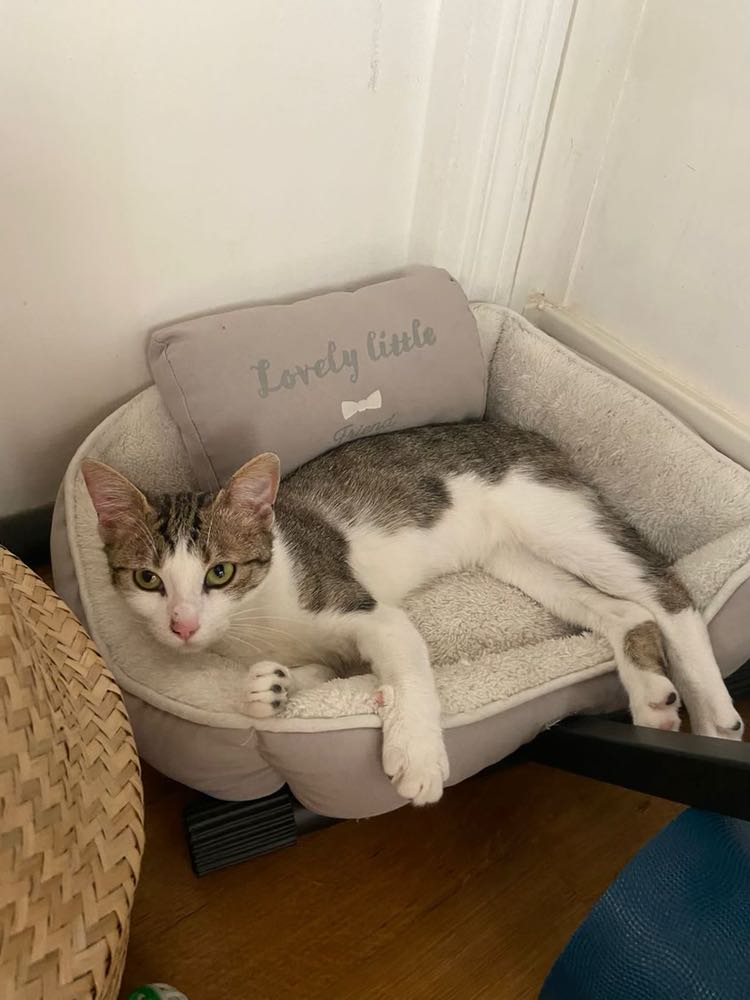 288795469_359351562935105_662999178726986903_n