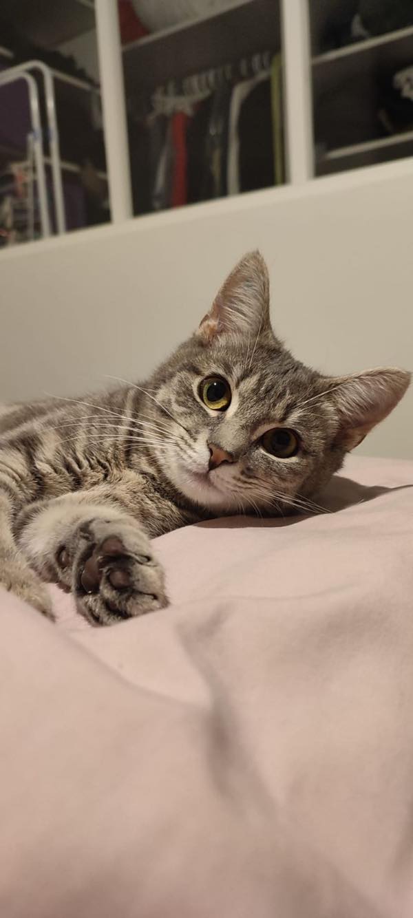 288857052_369706788560519_2829287852767248308_n