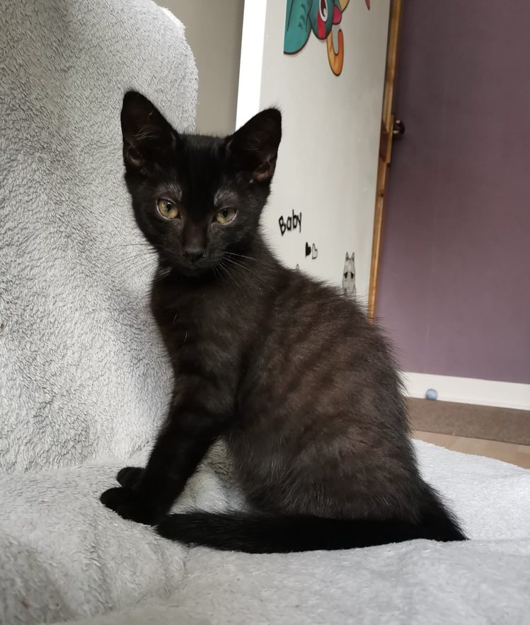 288947286_723651498960055_9023883453650374831_n