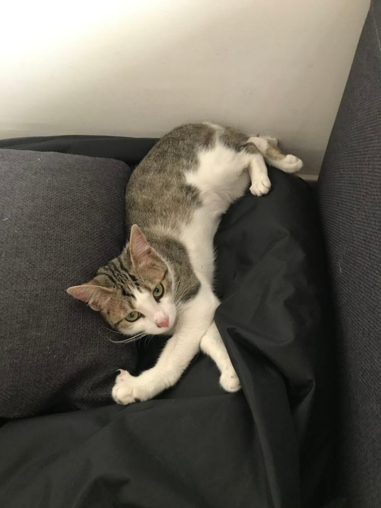 289004013_1553795018368511_26010194450629684_n