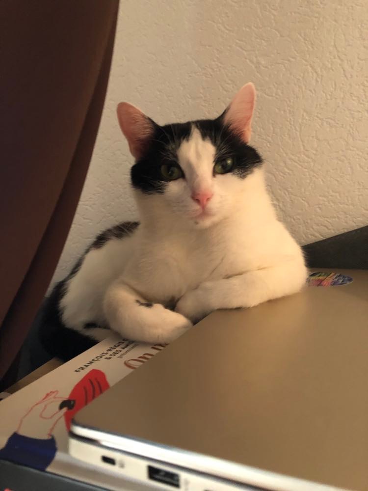 289043662_727521765185536_4421504574392252240_n