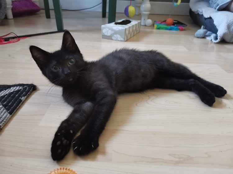 289074418_474413621203183_7283591083778520658_n