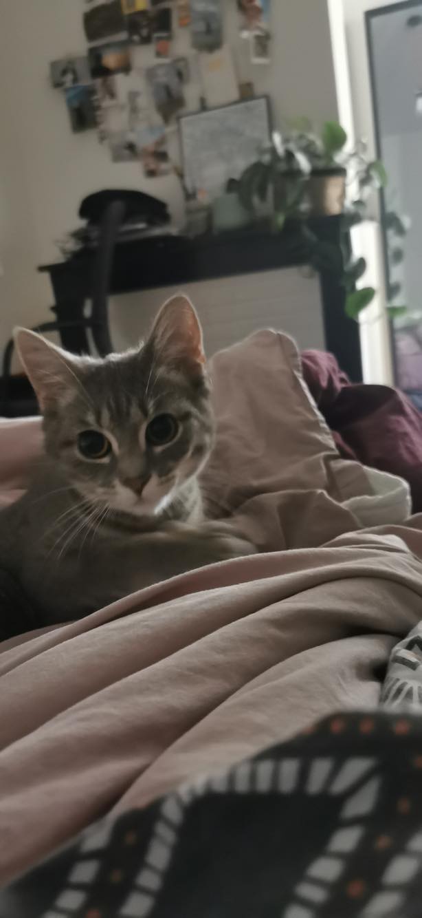 289160067_755502968938533_498113513445127473_n