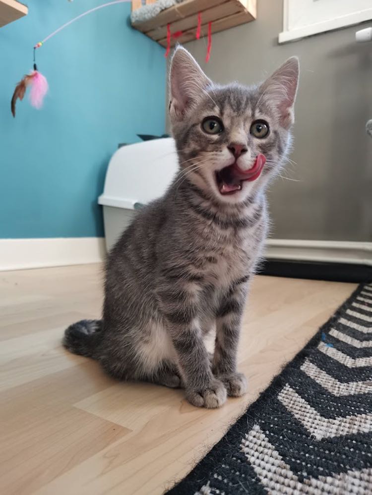 289274513_4093602407431459_7045838681627790327_n-1