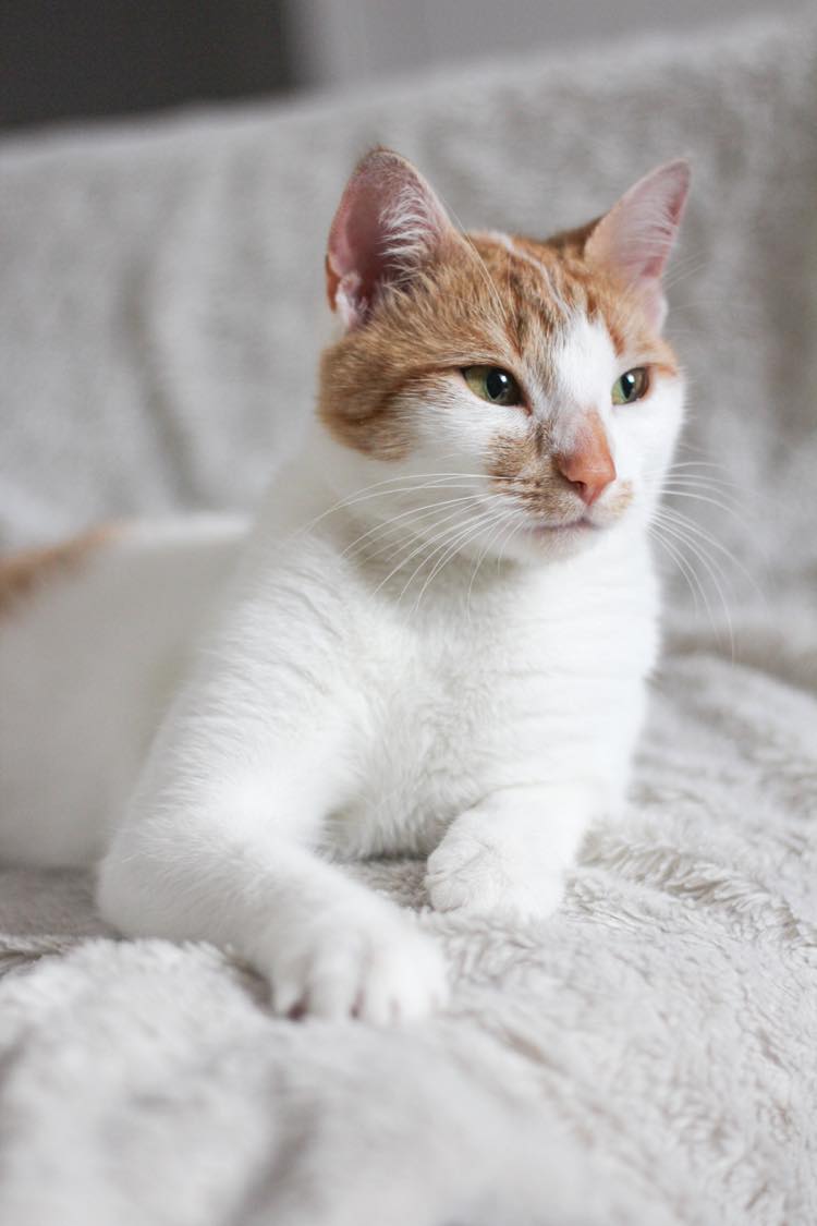 289803129_508319777650883_2433836120315898886_n