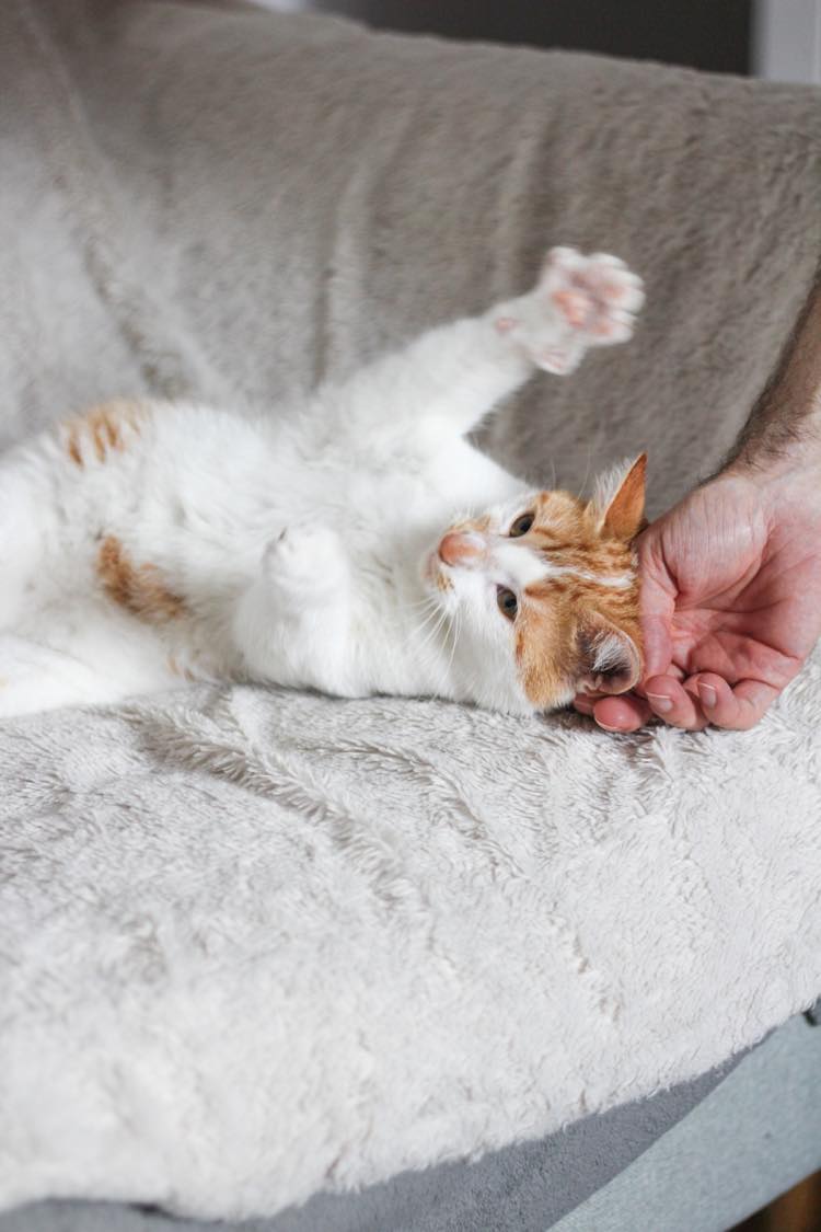 289803743_752082722885286_8622131596704933079_n