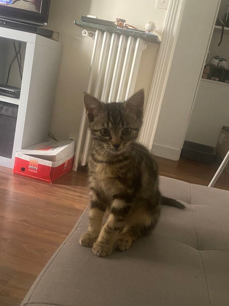 289820128_2751825618294365_8262976381236328080_n