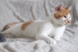 289857705_1110760809786320_9097939338997065622_n