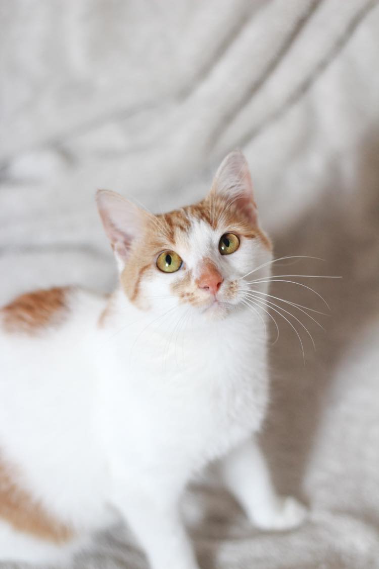 289895016_422829546470134_5310916425625891381_n