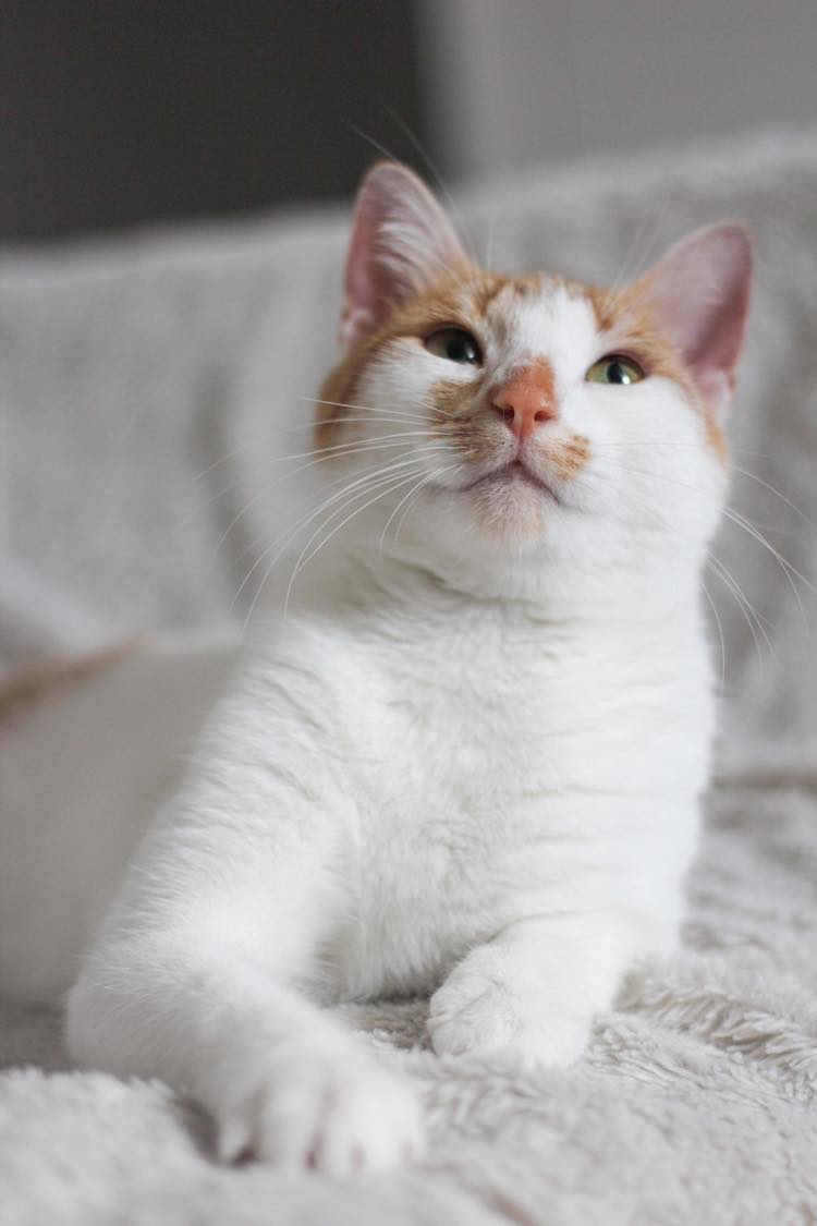 290241625_5254991341258413_8589550726106409577_n