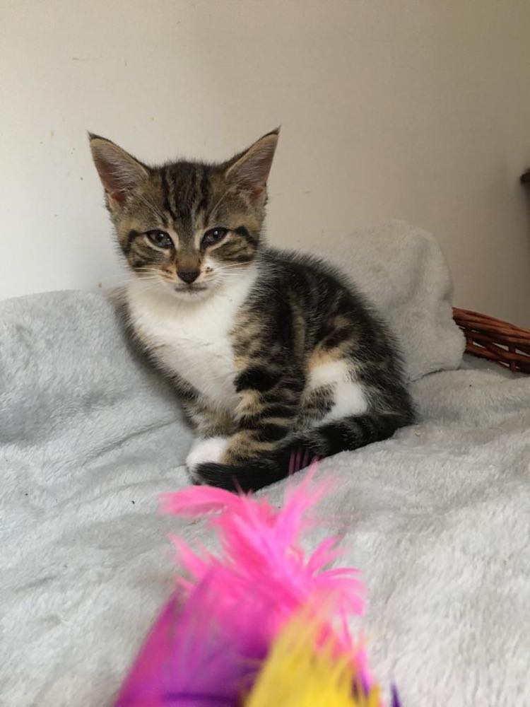 290346992_742475243470338_4041866502768222524_n