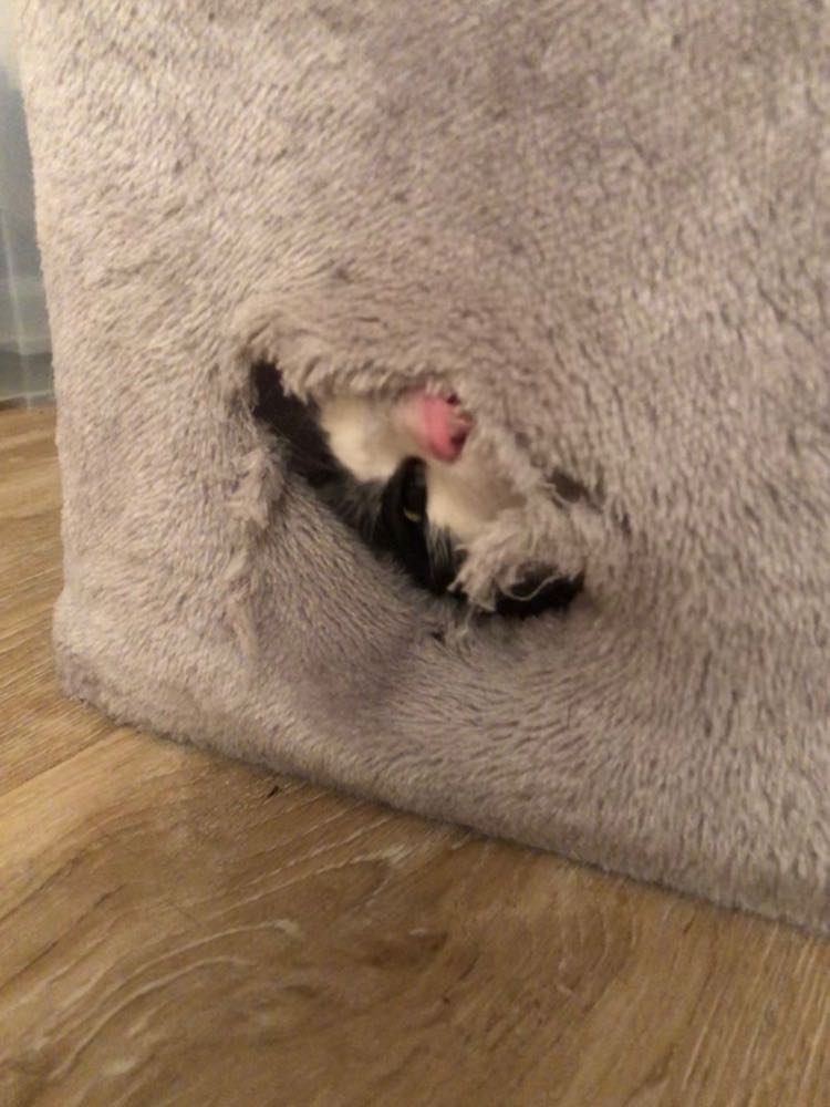 290408744_761637361685313_7778873118160657392_n