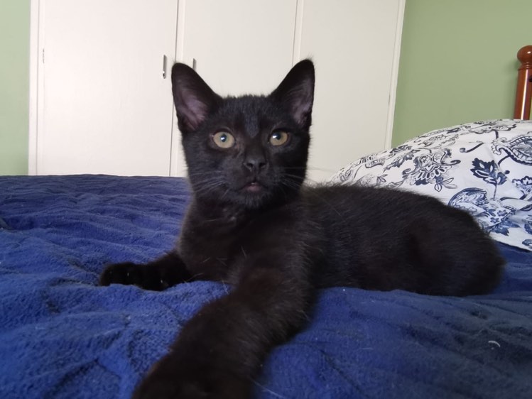 290439149_810728379926601_4380576425142324735_n