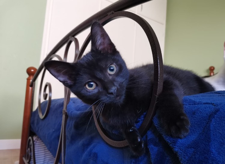 290488104_1746276002405389_8709324108526350157_n