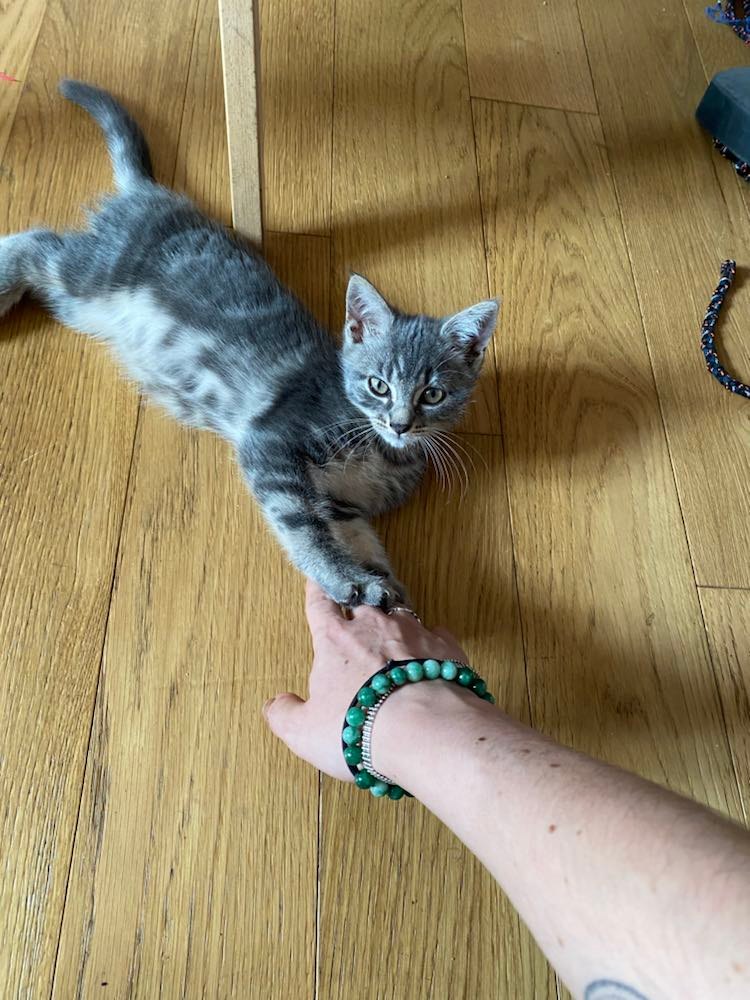 291067762_436407701687529_6779927488068175340_n