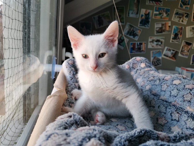 291067765_570972181205793_3872455652279167754_n