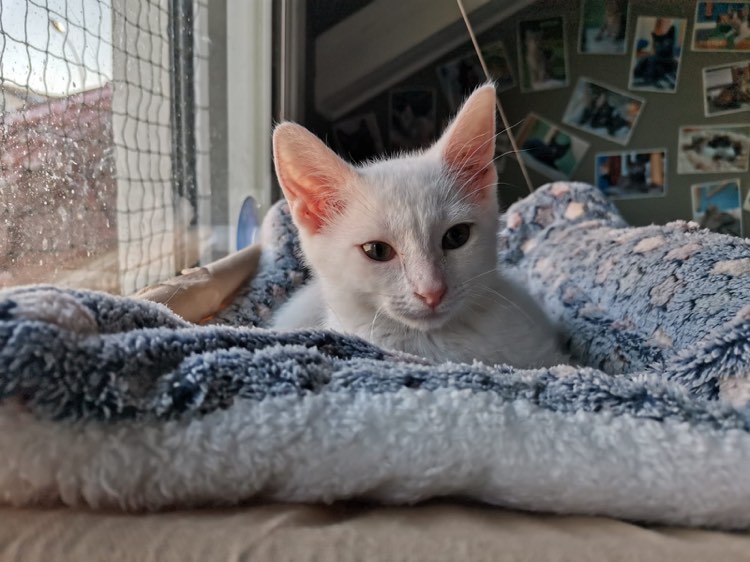 291584981_1001050217239507_4075249450607101507_n