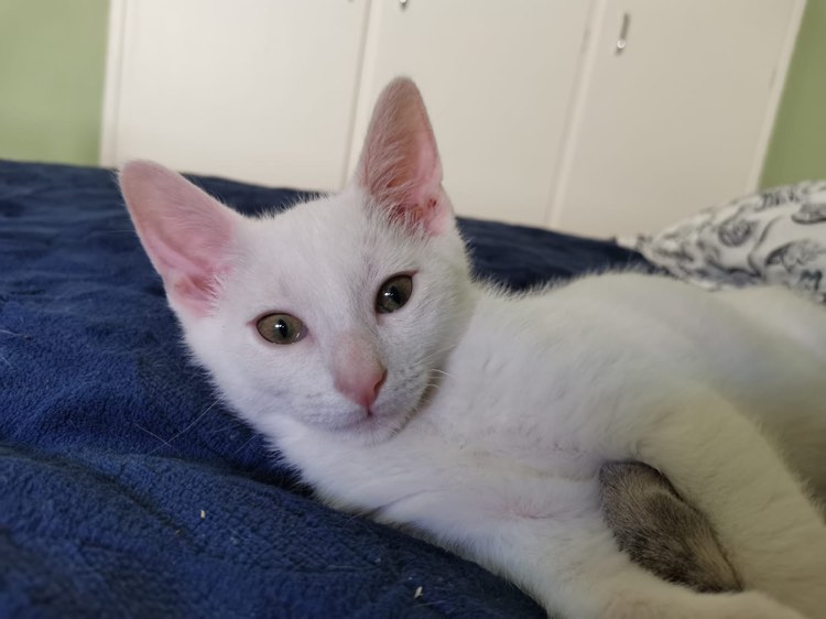 291806335_4893253794109571_8753065646009700228_n