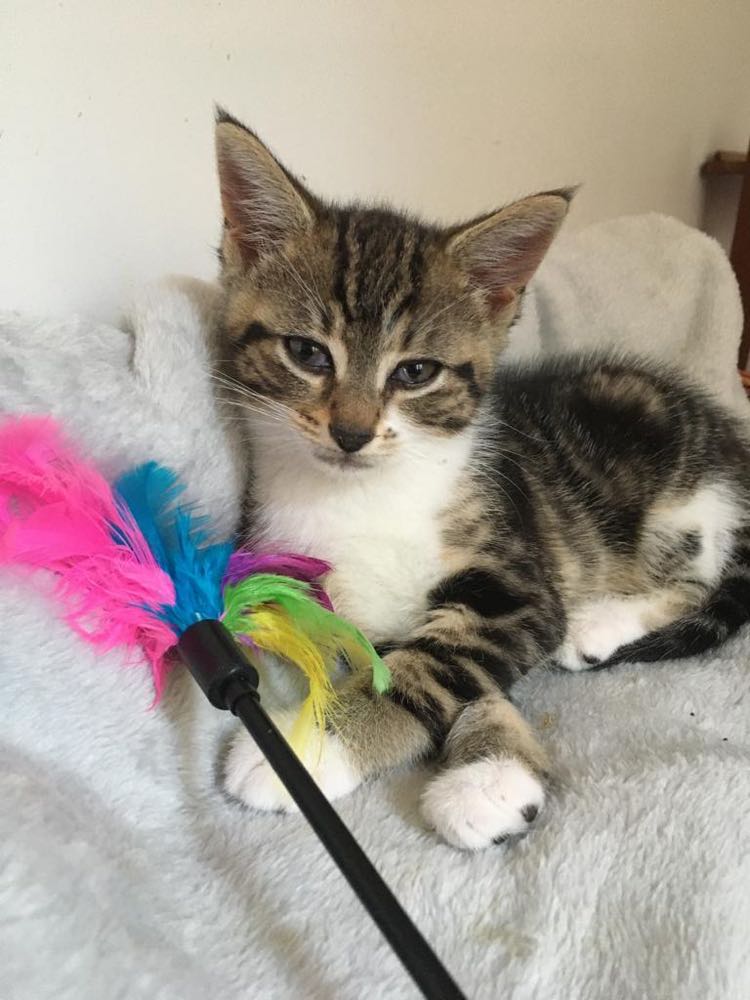 291835463_1248845535874326_9090176946090429265_n