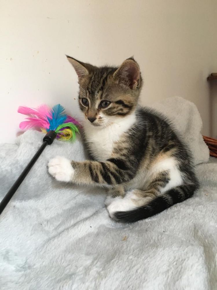 291878680_1013922389320167_443529637142353378_n-1