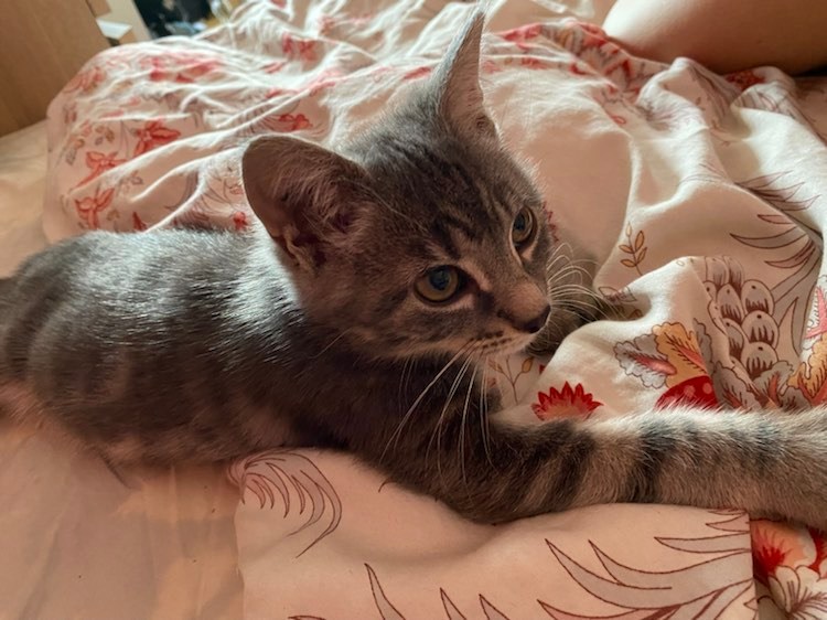 291891338_1364200557418381_2345276358855978380_n