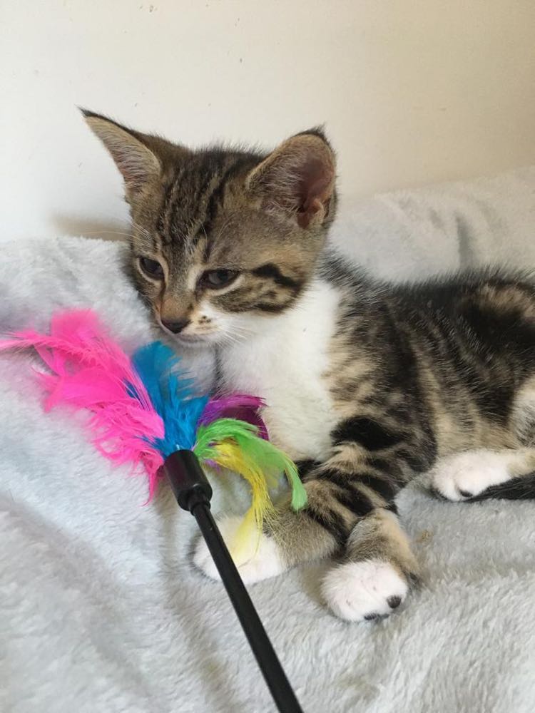 292181808_711414293260930_2160841641531158627_n-1