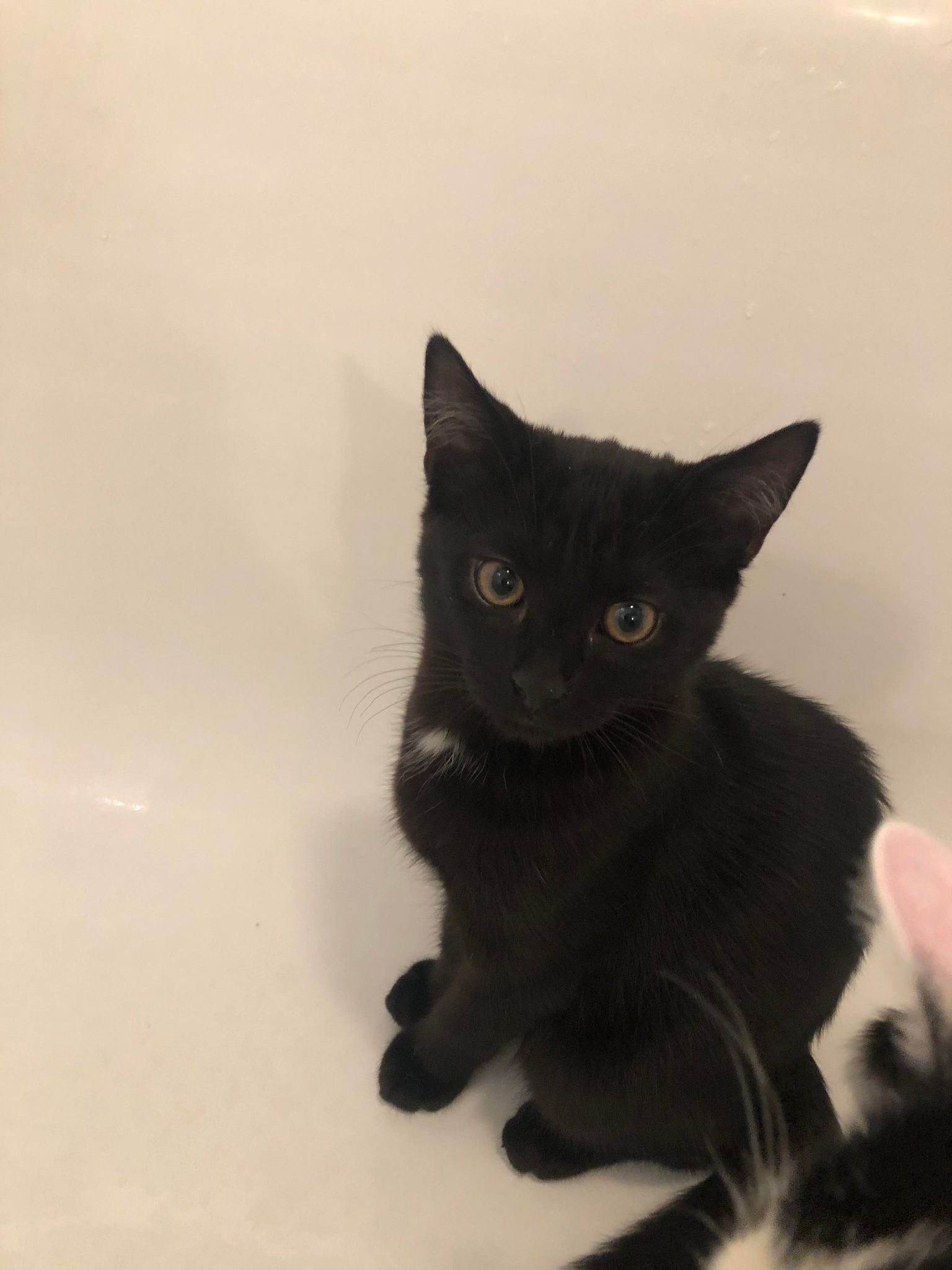 292804133_434091458604670_7241999352161499252_n