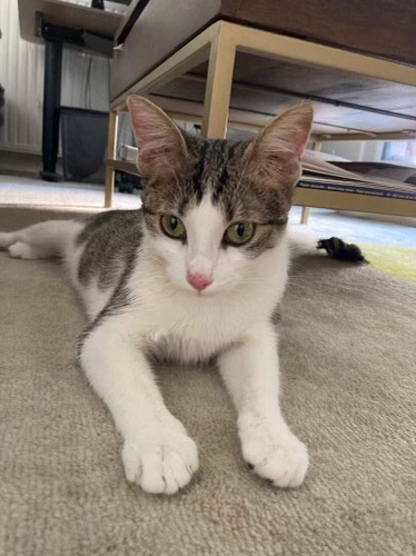 293315807_3267955190156200_4992209449419221826_n