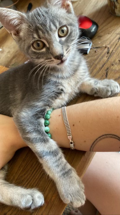 293610624_454916102822669_2615907139573168504_n