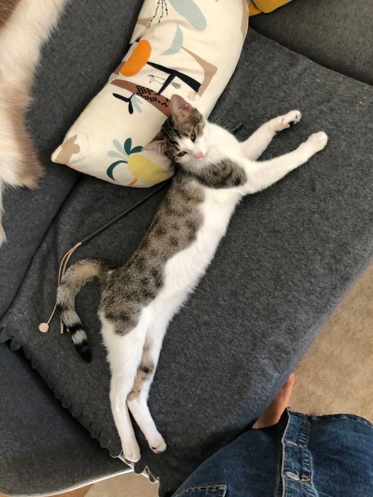 293629702_599378441792767_3979278845447053744_n