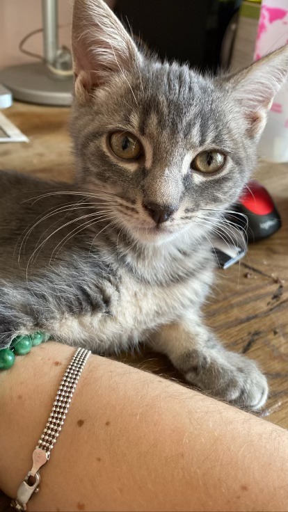 293863093_453149403326001_996419724033348913_n