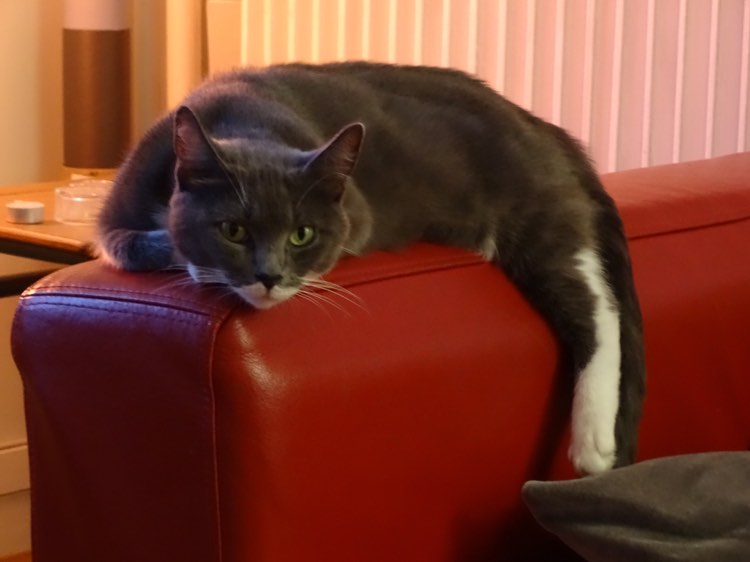 294487669_797172211717474_4722588184046669743_n