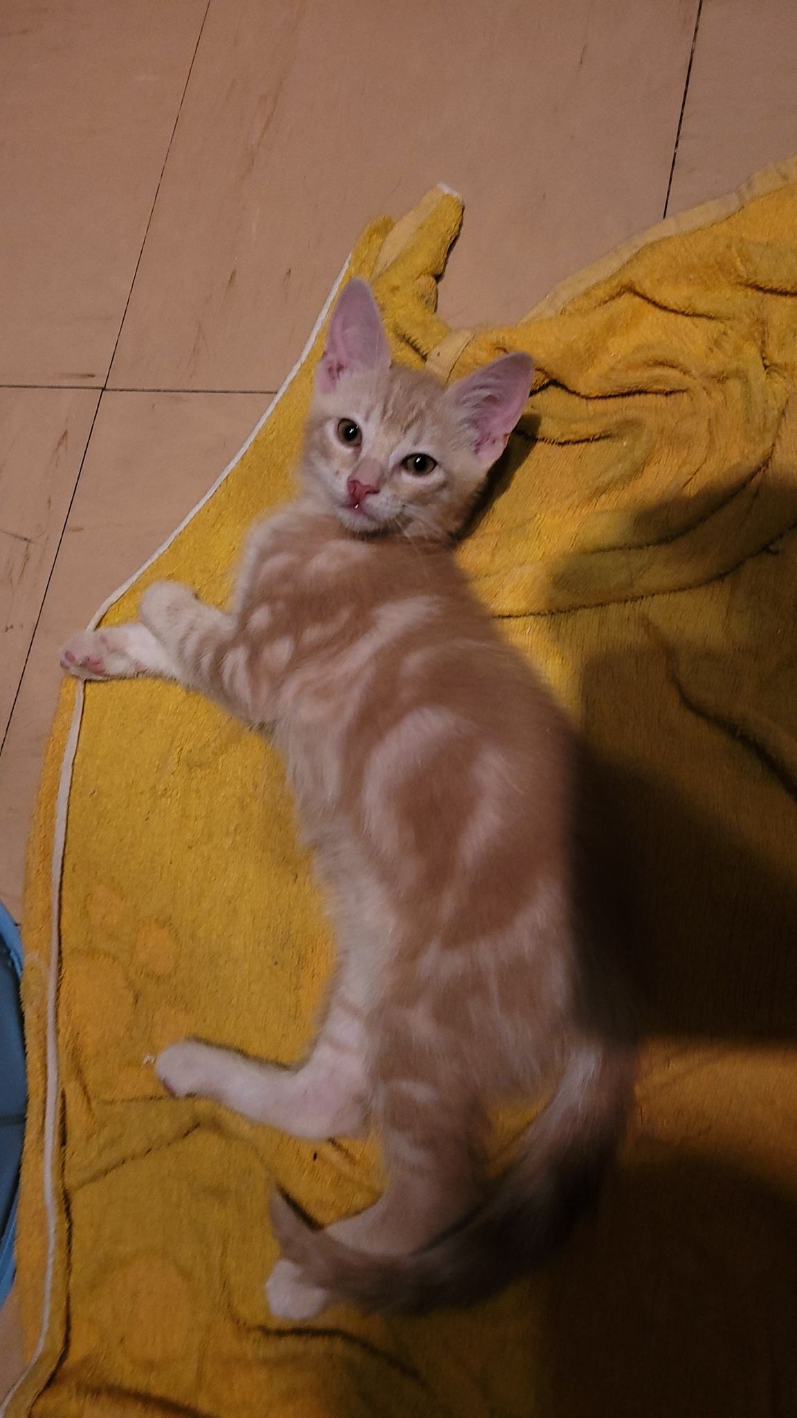 294678817_596812015353519_5396305743202888115_n