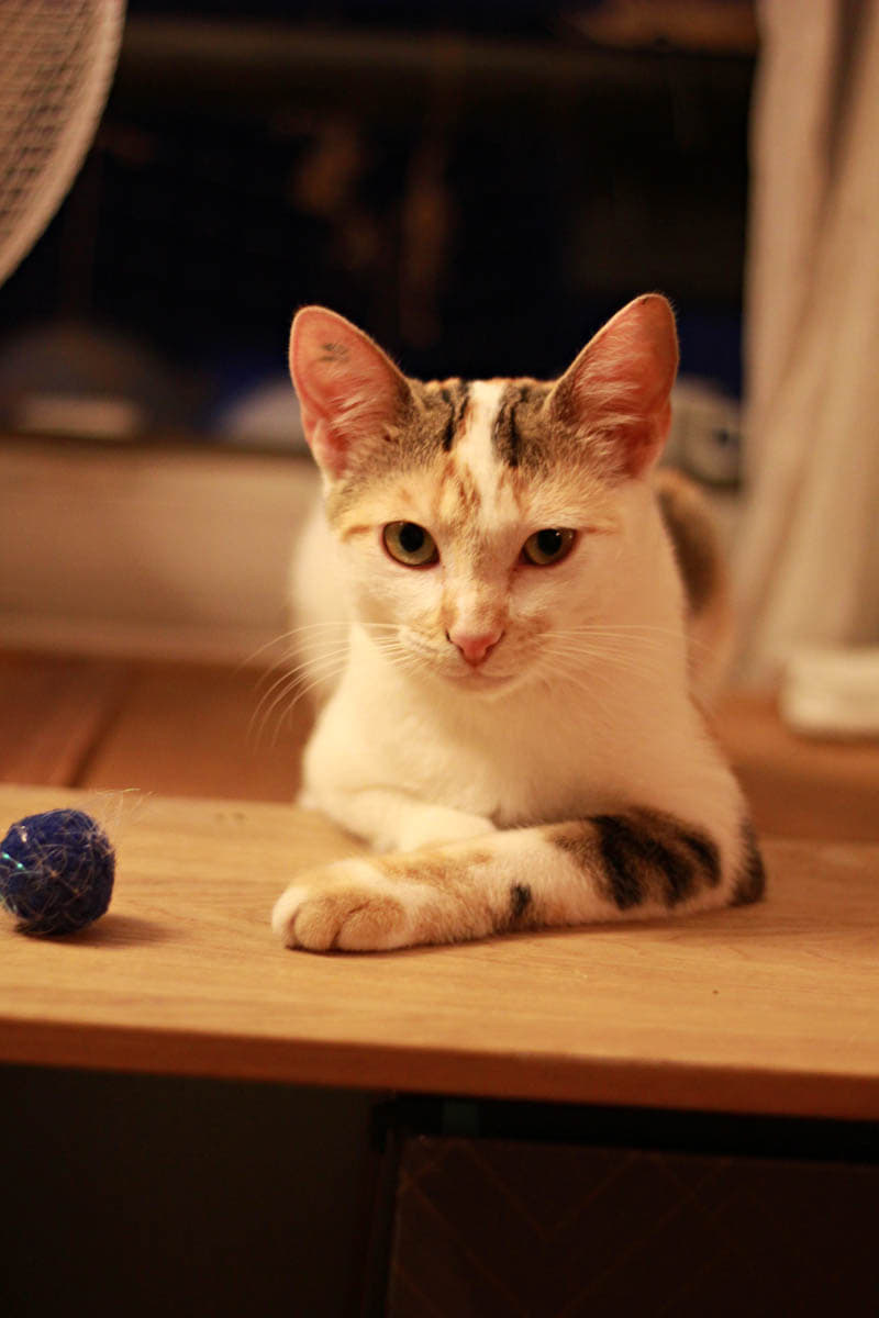 294776526_4919649854802662_7914702138129399760_n