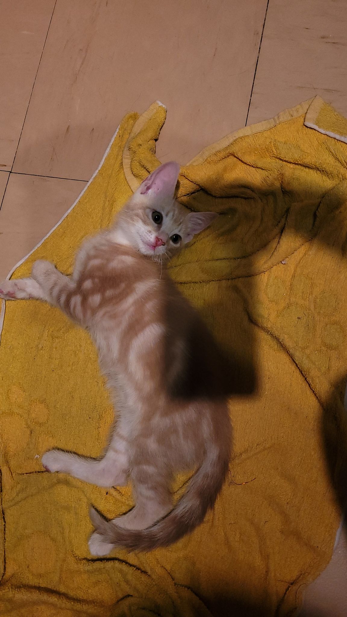 295043027_617873202895579_3518442761895872738_n