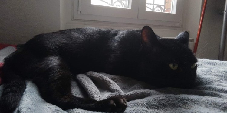 295108263_427097576012048_7553808858488467519_n