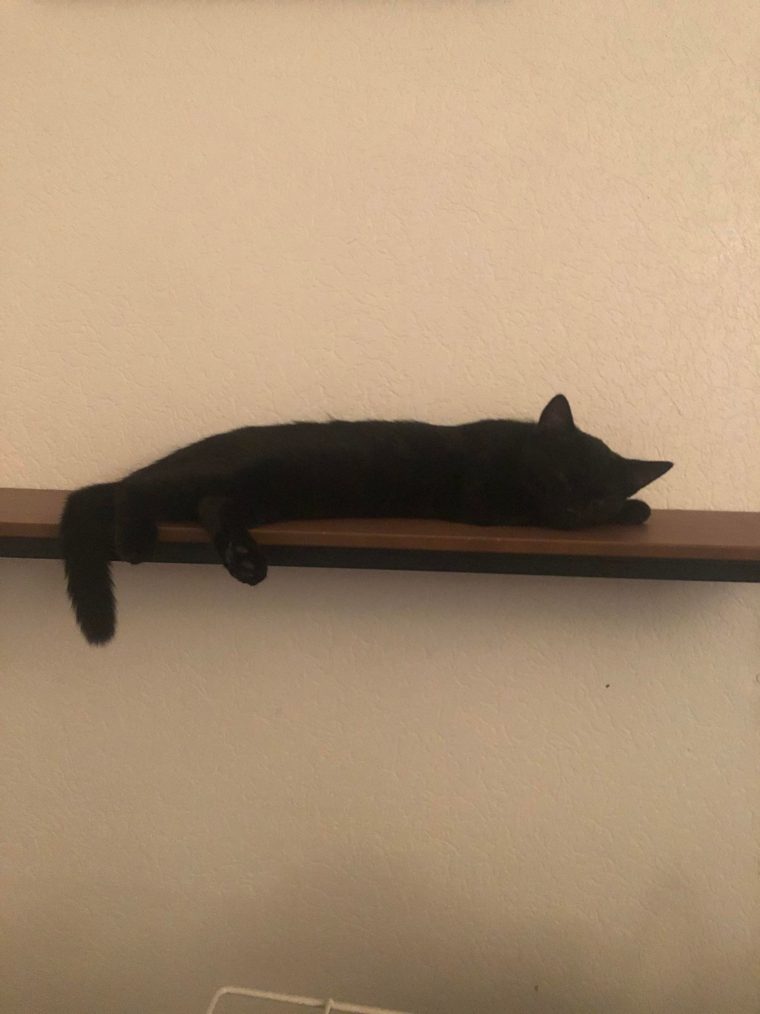 295271583_2184177338426952_459628708881383592_n