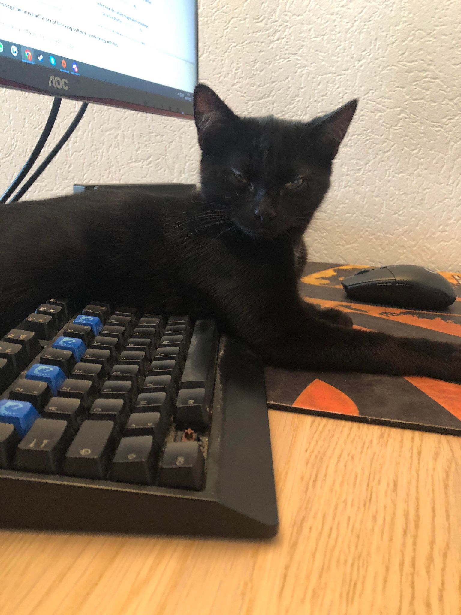 295293699_535932964978006_9219391162971154356_n