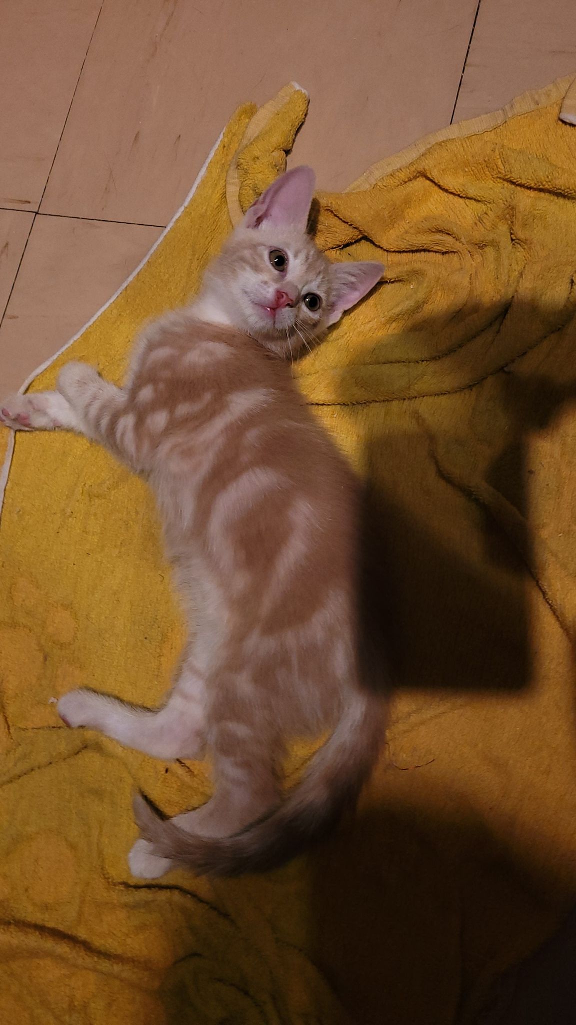 295298915_2360031214153223_1436030140838911023_n