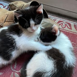 Photo de Diego et Paco