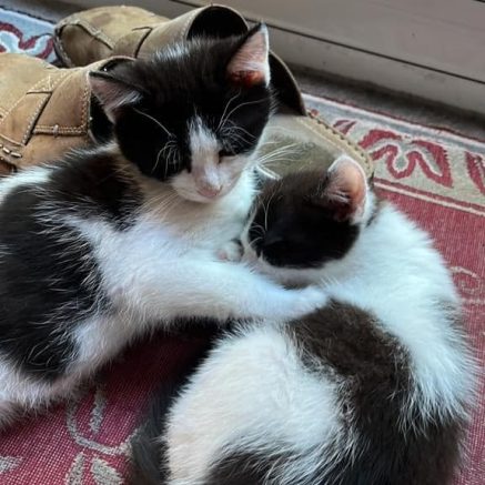 Photo de Diego et Paco