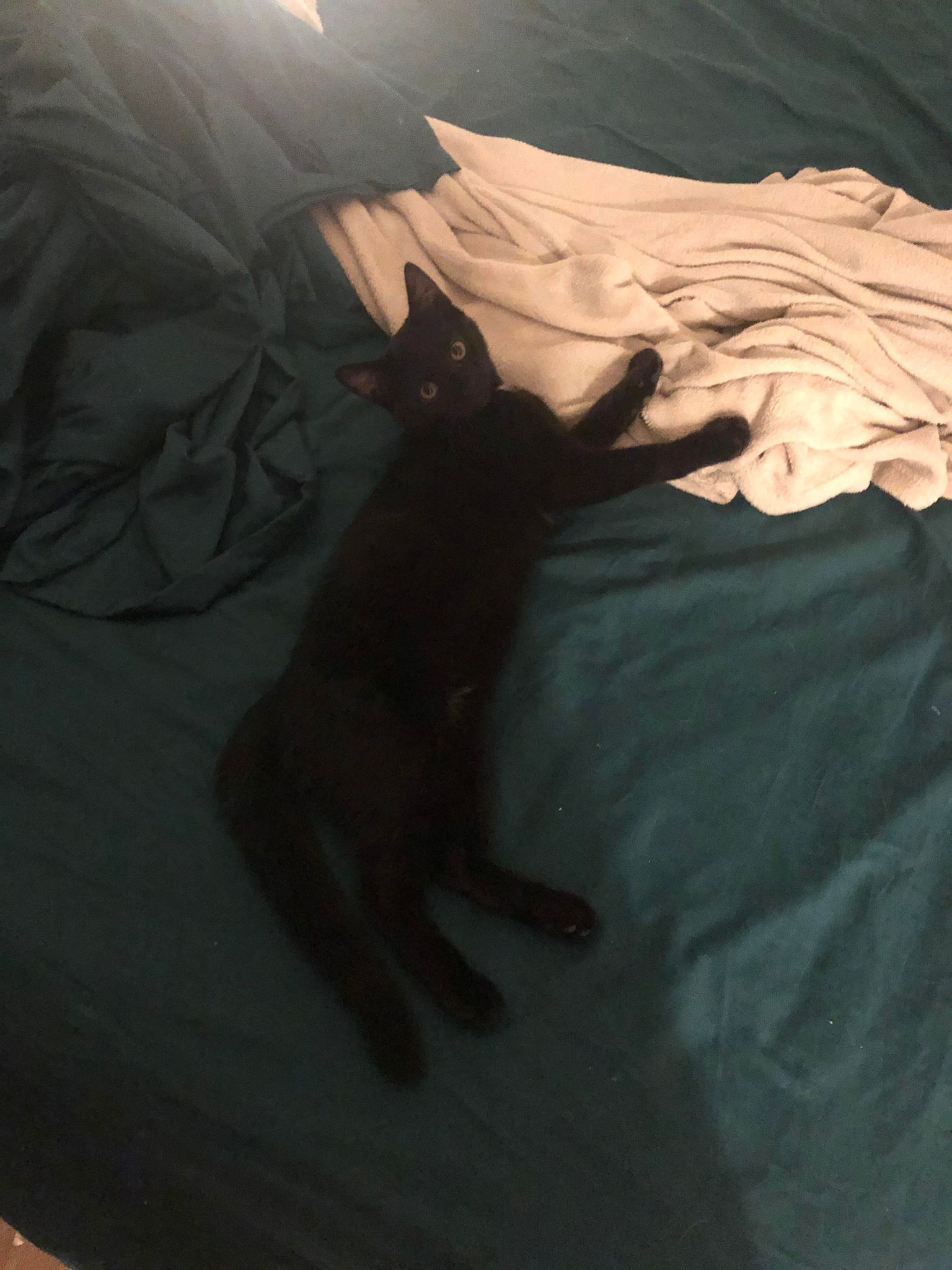 295362116_1517321708682176_1374462767944189975_n